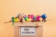 Toy Safety Guidelines