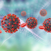 Monoclonal Antibody
