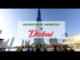 UAE resume experts