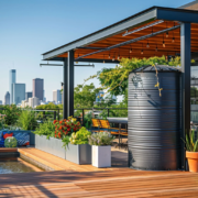 Terrace Gardening Ideas for a Lush Rooftop Garden