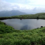 7 days kerala private tours