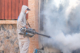 Wasp Removal in Dumfries